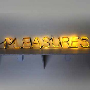 pleasure adult