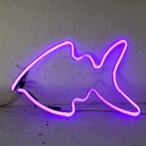 neon shape fish pet pets animal wildlife