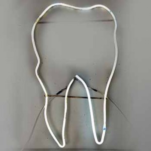 tooth teeth dentist dental health care medicine medical